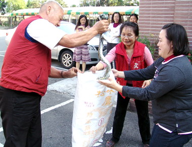 入夏 蛇類出沒最為頻繁民眾得小心(圖)