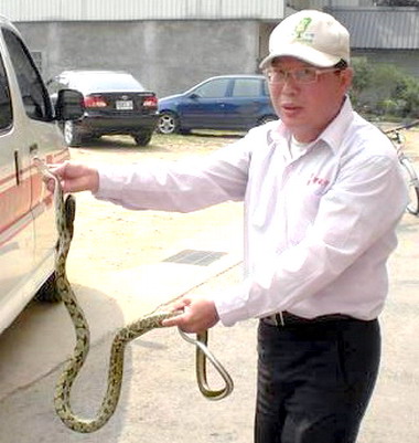 民宅發現蛇蹤消防員捕獲臭青母(圖)