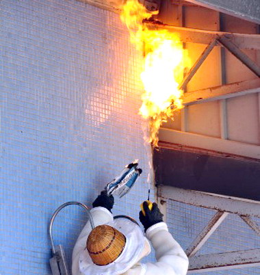 日月潭德化國小虎頭蜂亂飛(圖)