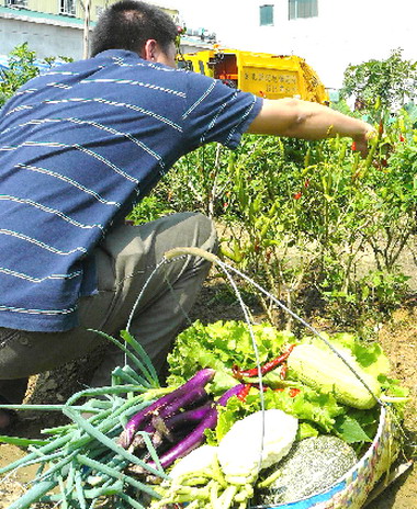 廚餘再利用成效評鑑彰市公所獲優等(圖)