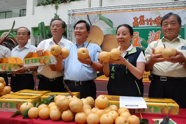 玉觀音高接梨上市陳明文代言促銷(圖)