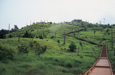 觀霧遊憩區及大霸尖山登山步道將開放(圖)