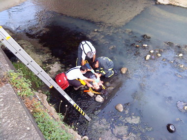 兩車對撞摔落河床~消防人員馳往緊急搶救(圖)