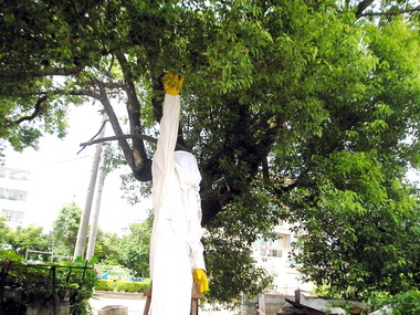 竹塘國小發現一窩蜂巢消防局前往摘除(圖)