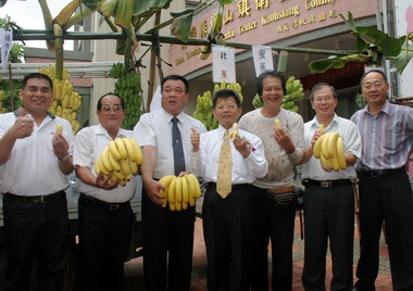 旗山蕉城豐華熱鬧登場 美味香蕉楊秋興稱讚(圖)