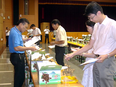 中縣優質龍眼果品評鑑比賽霧峰成績亮麗(圖)