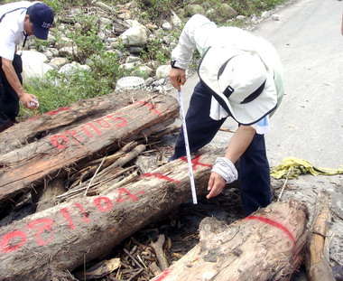 勿撿拾漂流木以免觸法(圖)