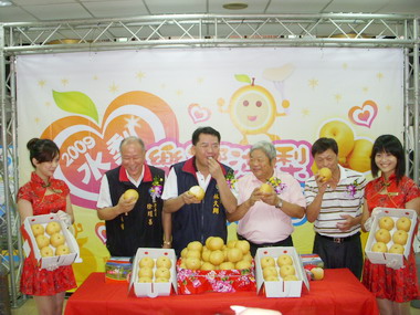 大湖水梨嘉年華周末登場折價券大放送(圖)