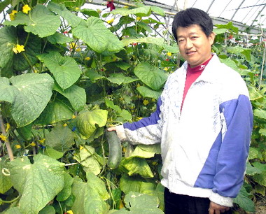 豪雨災情蔬菜漲價創新高(圖)