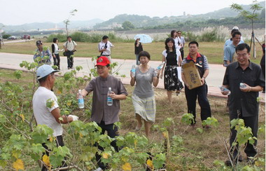 社會勞動人投入河濱公園環境維護(圖)