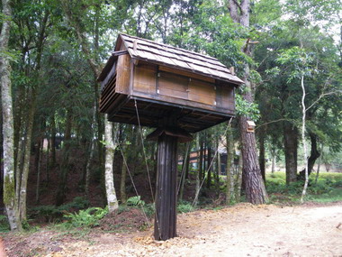 雪霸國家公園建造全台首見大型蝙蝠屋(圖)