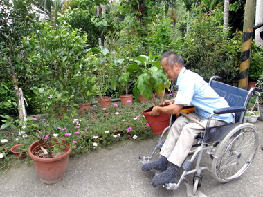 因九二一半癱陳水合八八水災捐殘障津貼(圖)