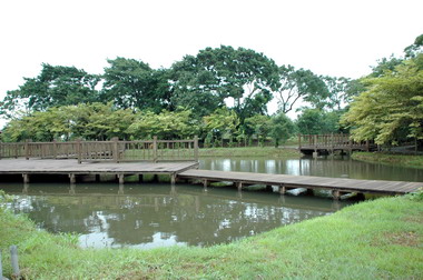 環境生態教育園區今落成(圖)