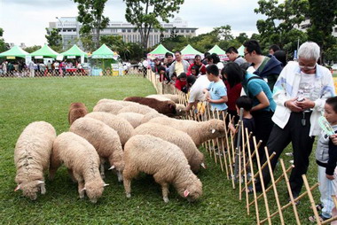 興大伴侶動物嘉年華 棉羊秀、狗狗迷宮登場(圖)