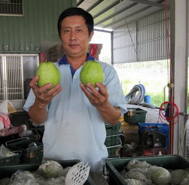 災後復園成果展現 芭樂行銷國外跨出第一步(圖)