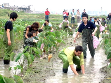 人工溼地生態體驗之旅今落幕(圖)
