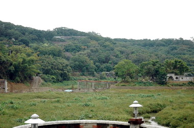 林政則勘查青草湖重生計畫(圖)