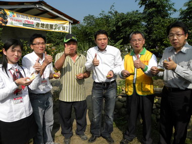 時令新鮮果 柳丁正當紅(圖)