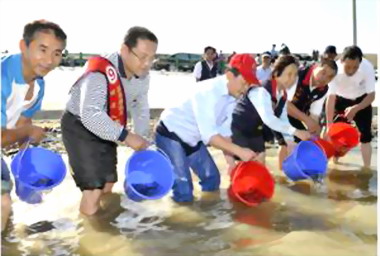 後龍水尾滯洪池 2萬尾魚苗放流(圖)