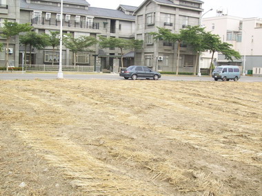 環保局鼓勵裸露地多鋪設稻草蓆(圖)