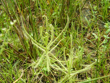 蓮花寺獲營建署審定為國家重要濕地(圖)