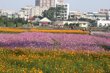 嘉義農業試驗首次開放掀神秘面紗(圖)