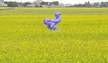 苗縣苑裡油菜花藝術季登場(圖)