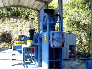 魚池鄉櫻花爭豔  廚餘堆肥居首功(圖)