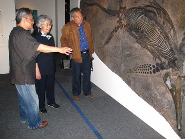 水中蛟龍—水棲爬行動物特展(圖)