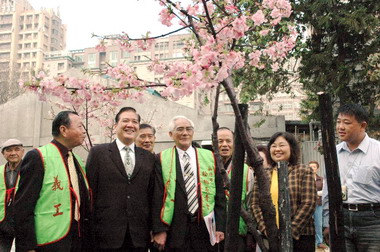 新竹公園櫻花盛開許明財邀鄉親前往欣賞(圖)