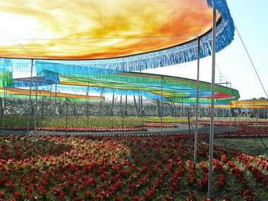 臺灣首座造型花海 誕生屏東熱博會(圖)