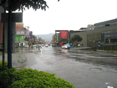 清水祖師誕辰辦神豬比賽(圖)