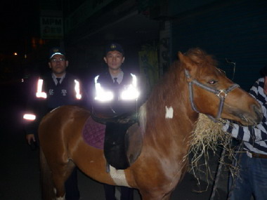 馬兒馬路跑 虎尾警快馬加鞭終制伏(圖)