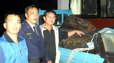 信義警分局查獲非法撿拾漂流木扁柏(圖)