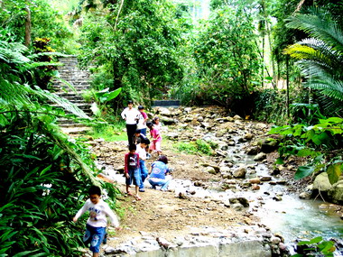 南投造林十年有成(圖)