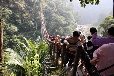 南投瑰寶太極美地打造茶與竹產業特色(圖)