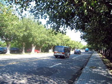 高等研究園區終見曙光來臨(圖)