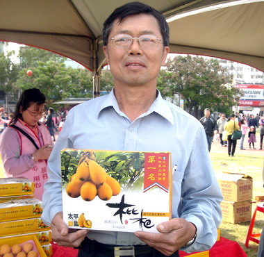 太平枇杷99年度評鑑阮明順榮獲冠軍(圖)