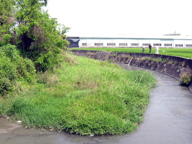 霧峰車籠埤排水系統雜草叢生(圖)