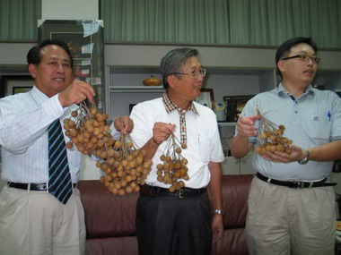 成功研發龍眼產期調節 創造農民收益(圖)
