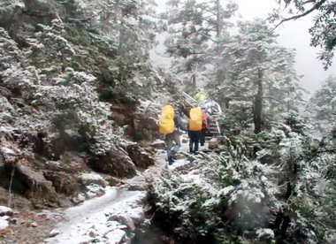 玉山主峰線雪地實施管制(圖)