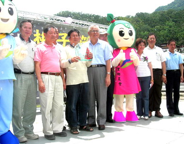 梅子節閉幕舉行黃熟梅評鑑(圖)