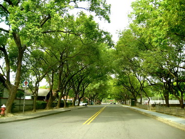 李朝卿：高等研究園區進行順利明年進駐(圖)