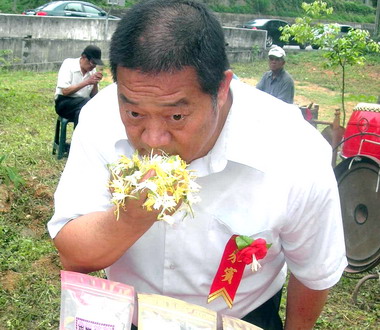 日月潭銃櫃中藥金銀花專區種植今啟動(圖)