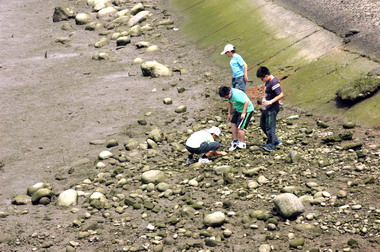 竹縣辦春季淨灘上千人參加(圖)