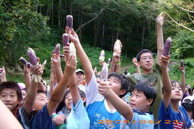 雲林縣救國團暑期營隊活動(圖)
