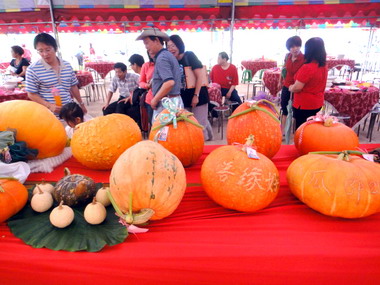 八卦山金瓜農特產文化觀光季熱鬧登場(圖)