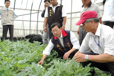 邱鏡淳參觀白地里有機農場產銷班(圖)