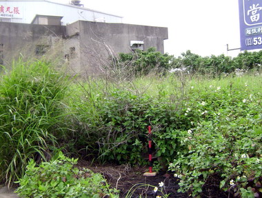 雜草長度超過50公分最高罰6000元(圖)