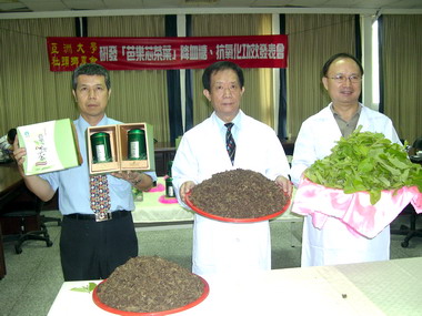 芭樂芯葉茶今天舉行發表會(圖)